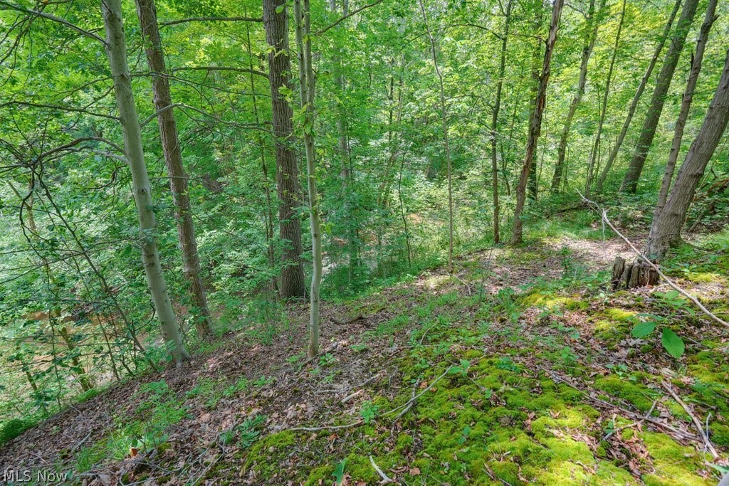 0 N Chillicothe Road Aurora OH 44202