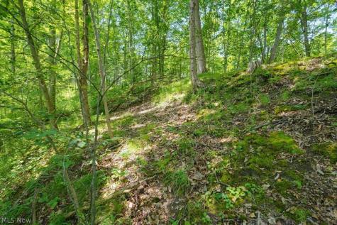 0 N Chillicothe Road Aurora OH 44202