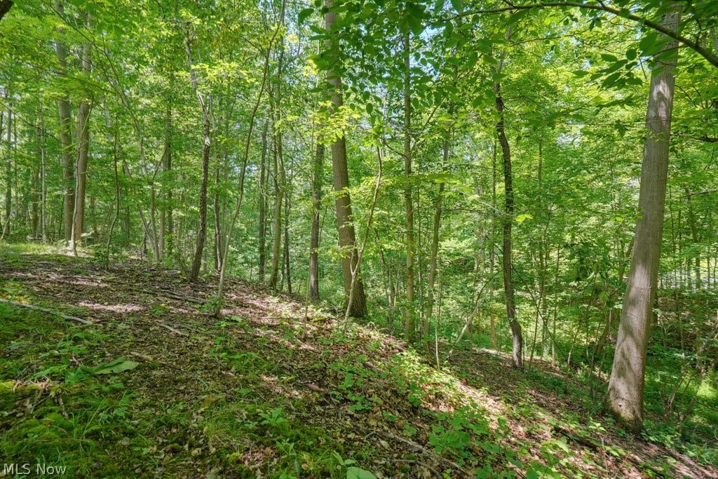 0 N Chillicothe Road Aurora OH 44202