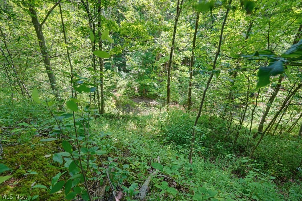 0 N Chillicothe Road Aurora OH 44202