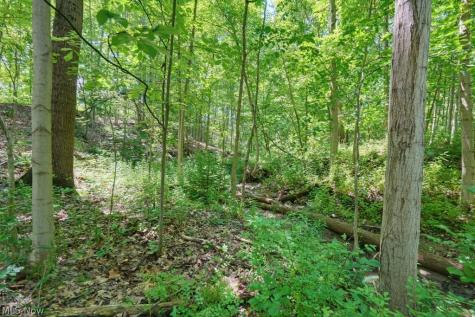 0 N Chillicothe Road Aurora OH 44202