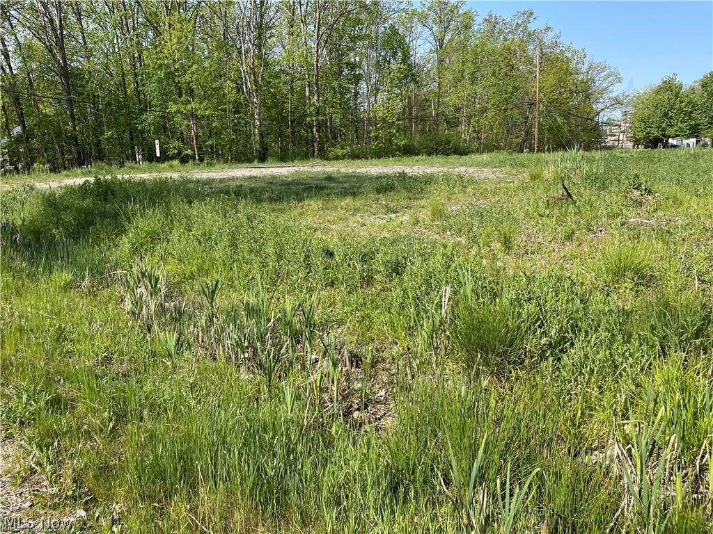 1 California (Lot 1) Street Aurora OH 44202