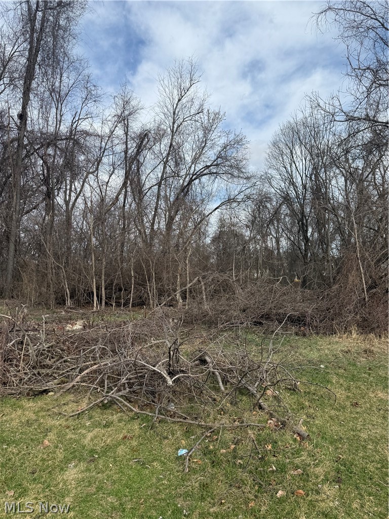 93 Beatty Avenue Cambridge OH 43725