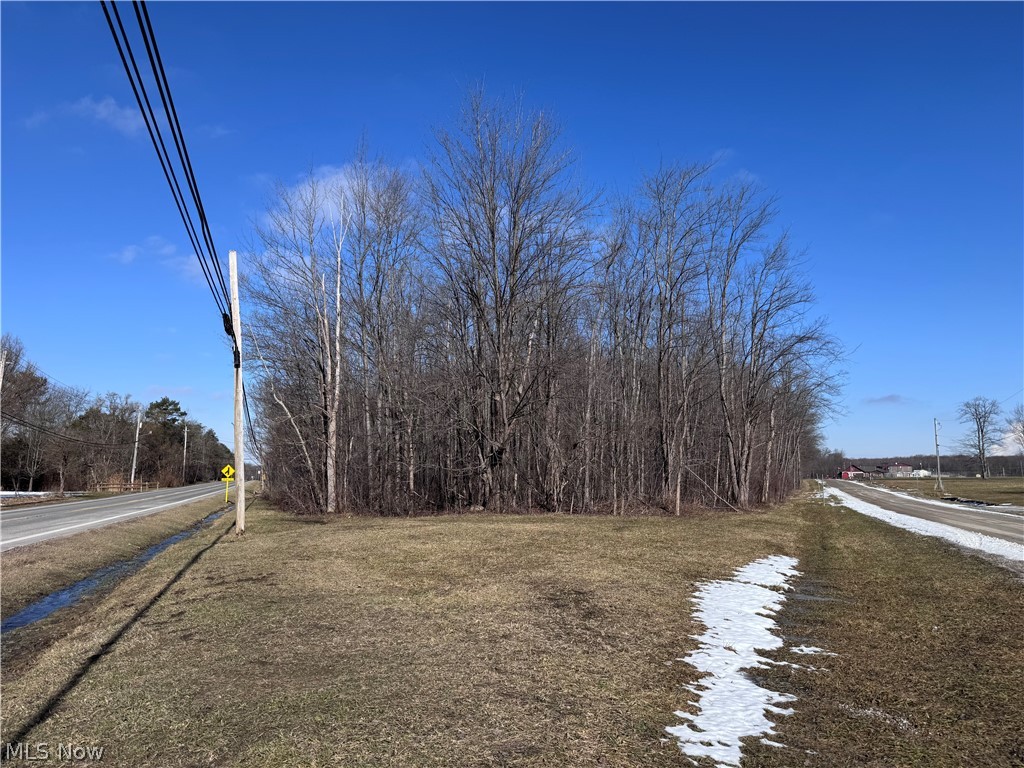 V/l 4 Painesville Warren Road Leroy OH 44077