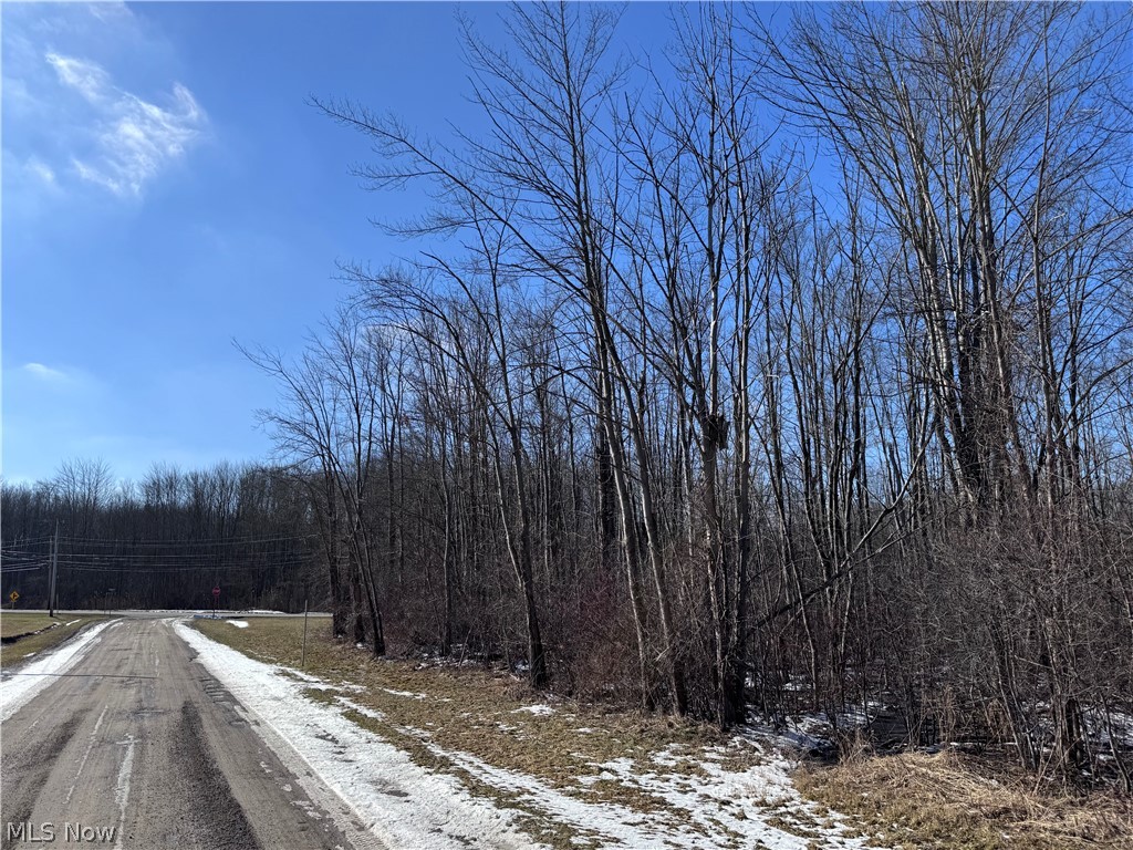 V/l 4 Painesville Warren Road Leroy OH 44077