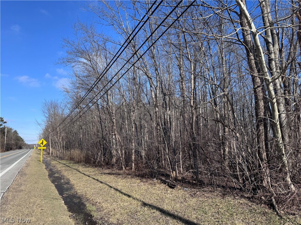 V/l 4 Painesville Warren Road Leroy OH 44077
