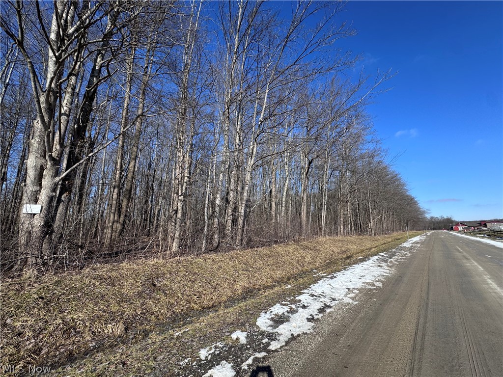 V/l 4 Painesville Warren Road Leroy OH 44077