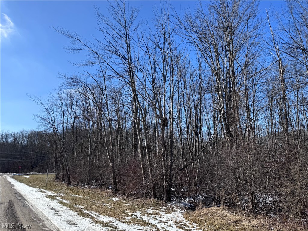 V/l 4 Painesville Warren Road Leroy OH 44077
