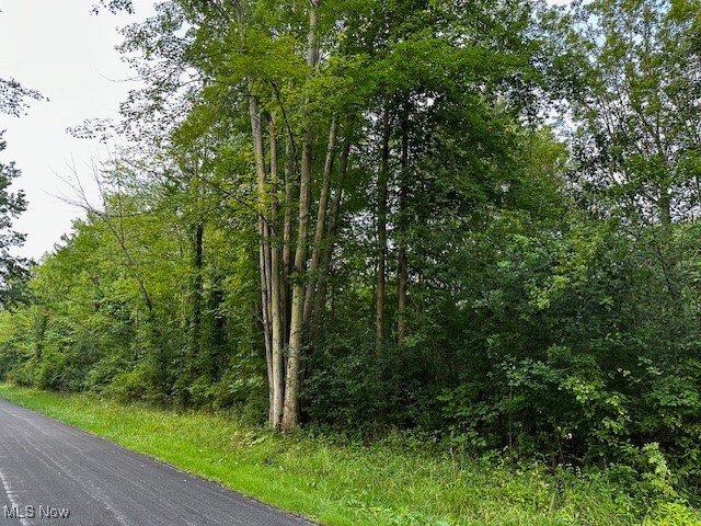 Highland Avenue Saybrook OH 44004