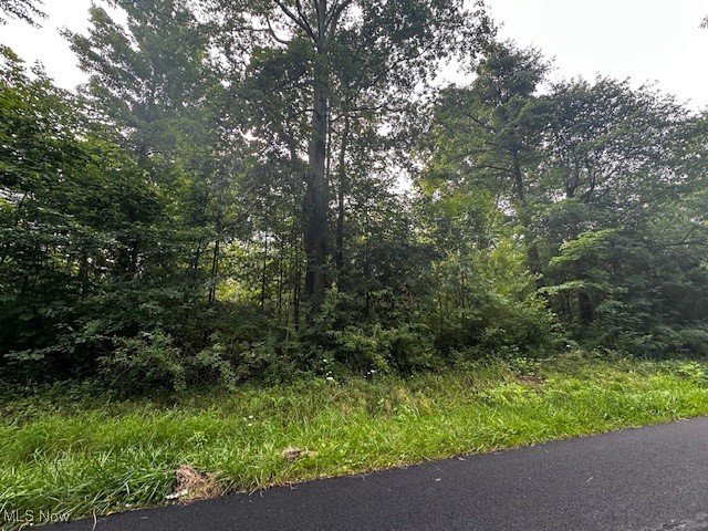 Highland Avenue Saybrook OH 44004