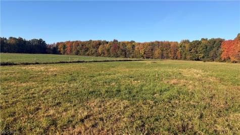 272 State Route 58 Sullivan OH 44880