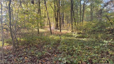 272 State Route 58 Sullivan OH 44880