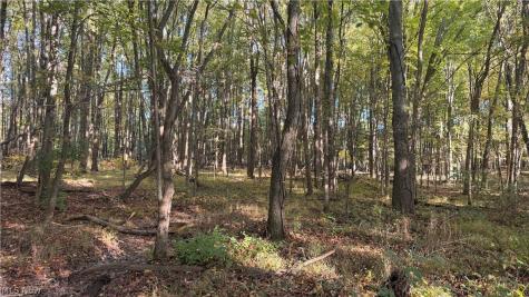272 State Route 58 Sullivan OH 44880