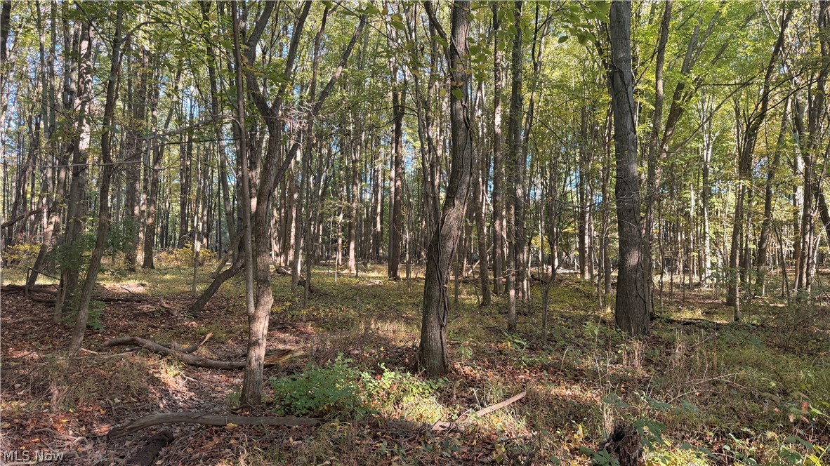 272 State Route 58 Sullivan OH 44880