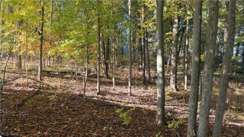 272 State Route 58 Sullivan OH 44880