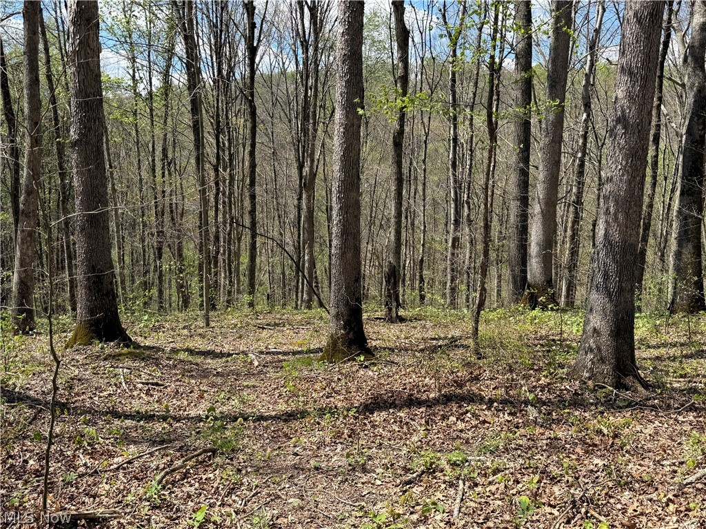 Plainview Road Woodsfield OH 43793
