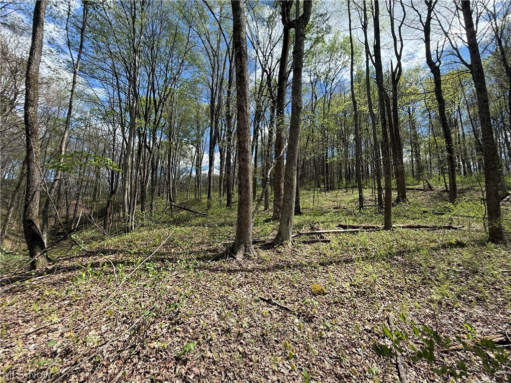 Plainview Road Woodsfield OH 43793