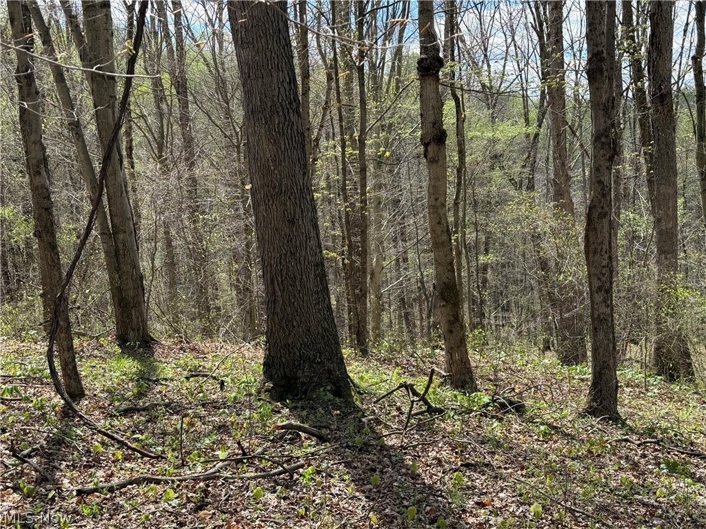 Plainview Road Woodsfield OH 43793