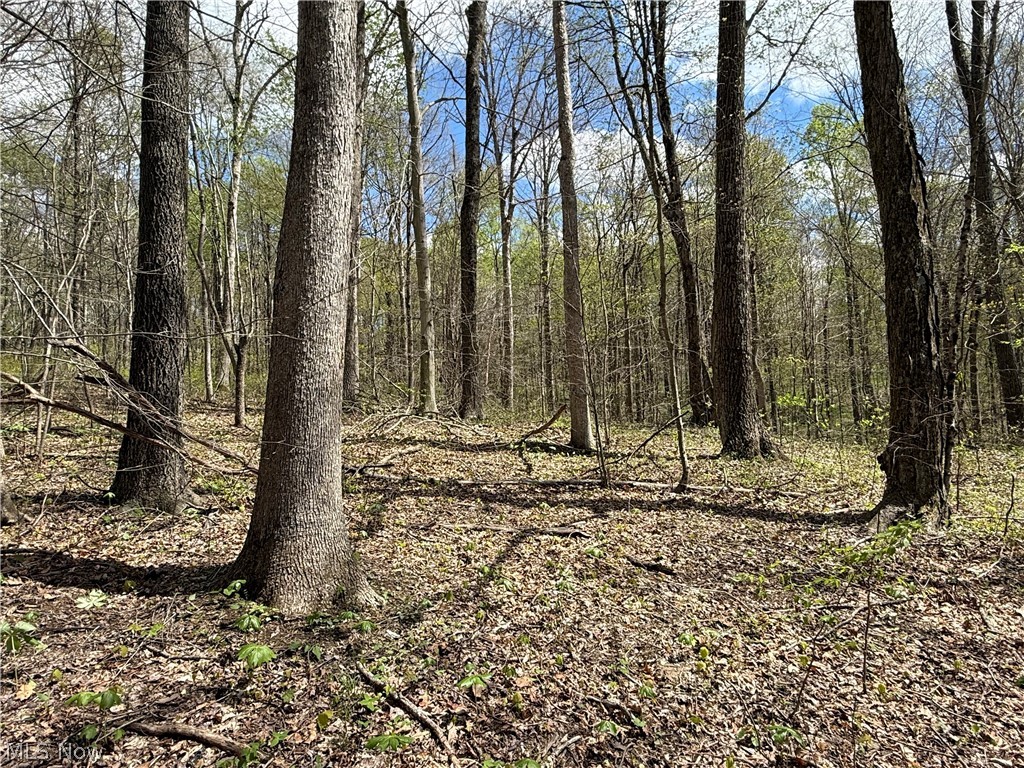 Plainview Road Woodsfield OH 43793