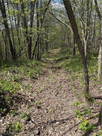Plainview Road Woodsfield OH 43793