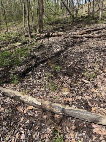 Plainview Road Woodsfield OH 43793