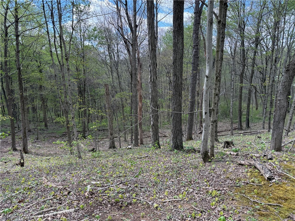 Plainview Road Woodsfield OH 43793