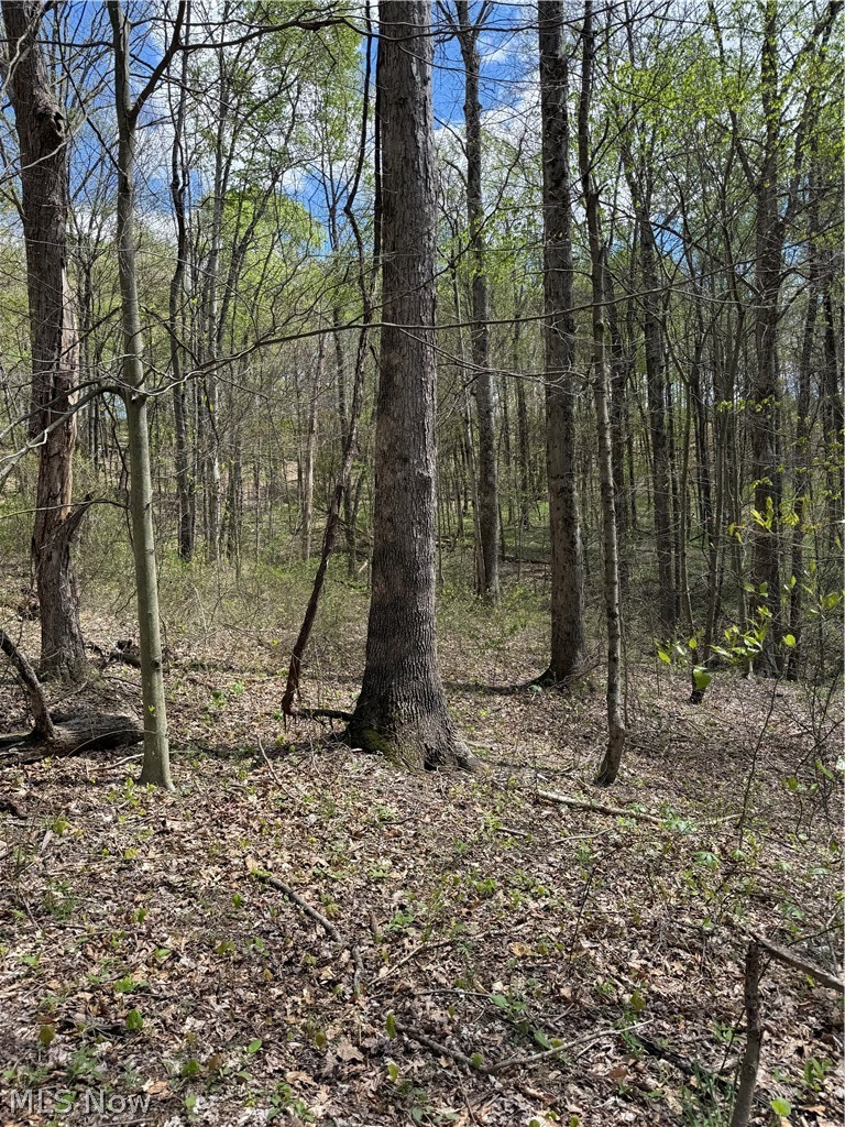 Plainview Road Woodsfield OH 43793