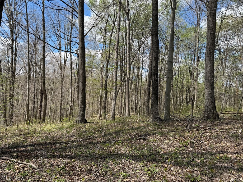 Plainview Road Woodsfield OH 43793
