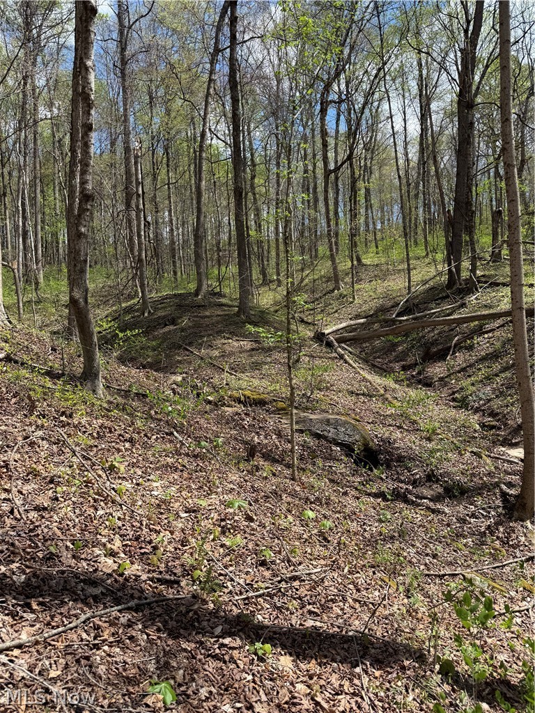 Plainview Road Woodsfield OH 43793