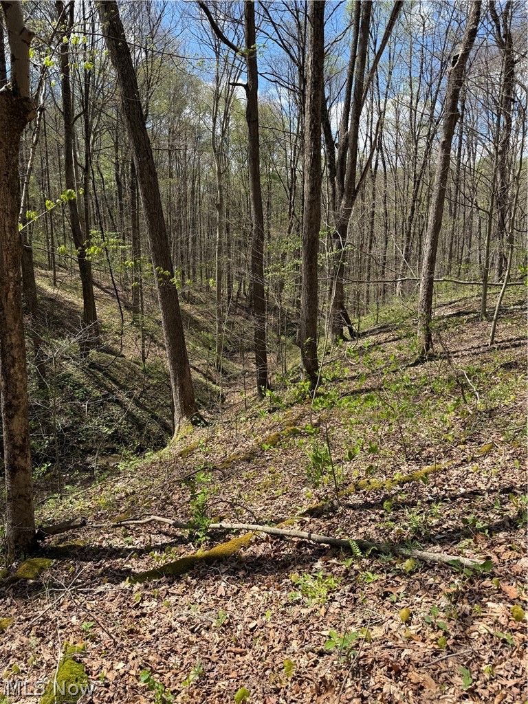 Plainview Road Woodsfield OH 43793