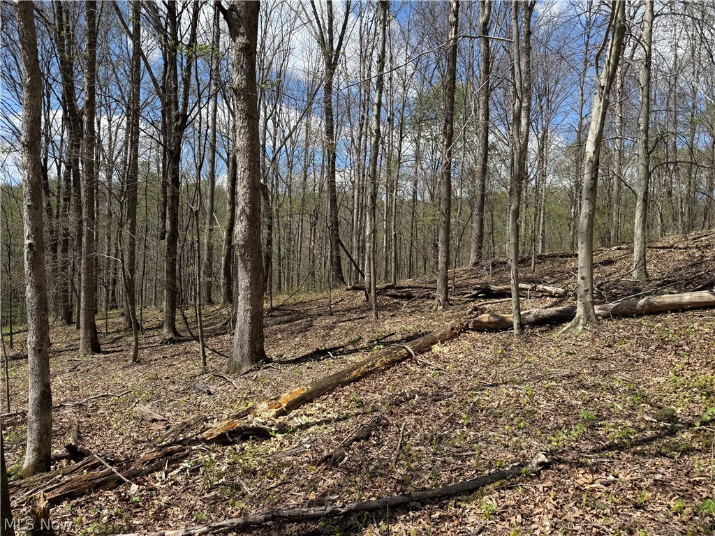 Plainview Road Woodsfield OH 43793