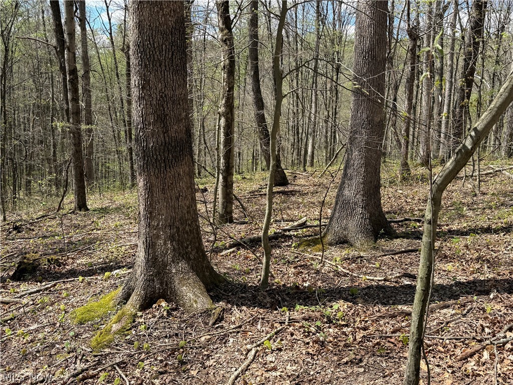 Plainview Road Woodsfield OH 43793
