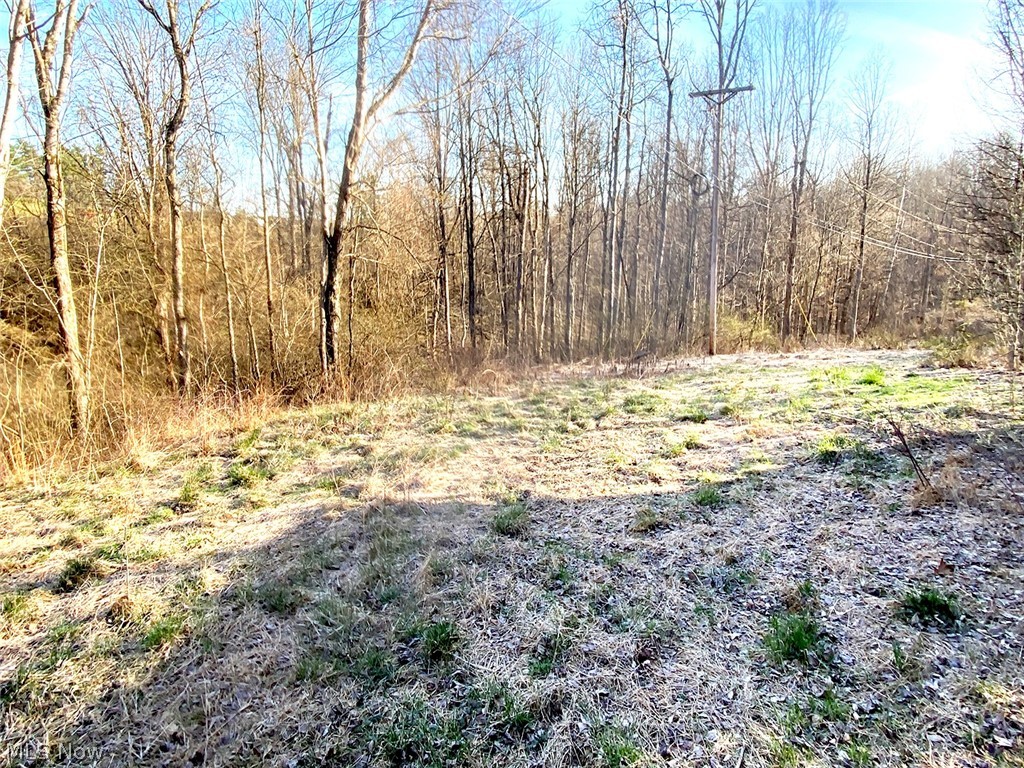 0 Twp Road 318 Road Dexter City OH 45727