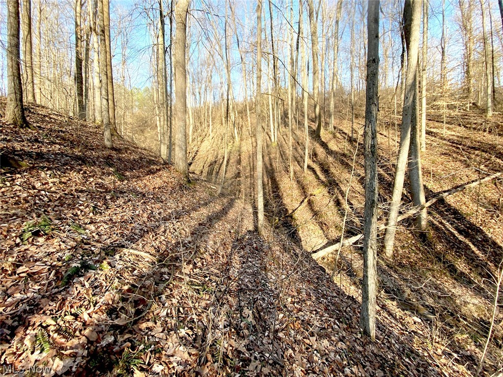 0 Twp Road 318 Road Dexter City OH 45727