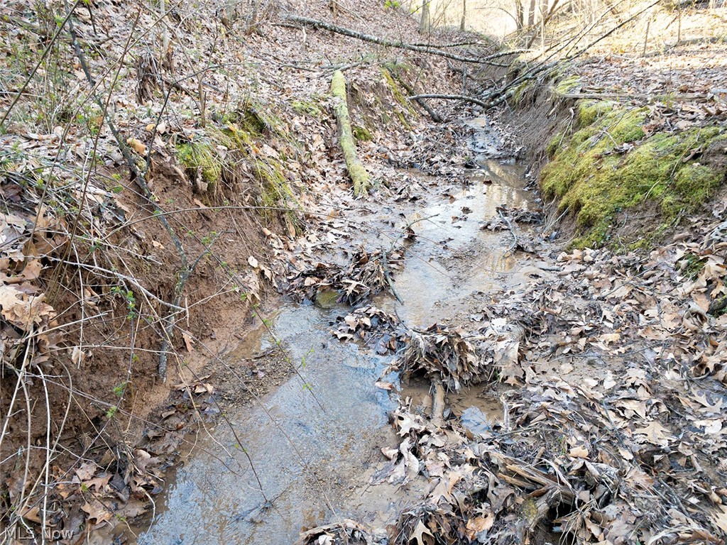 0 Twp Road 318 Road Dexter City OH 45727