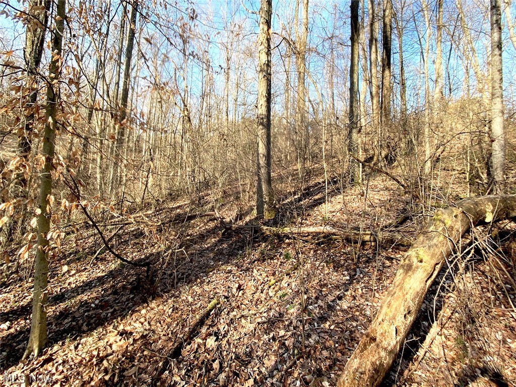 0 Twp Road 318 Road Dexter City OH 45727