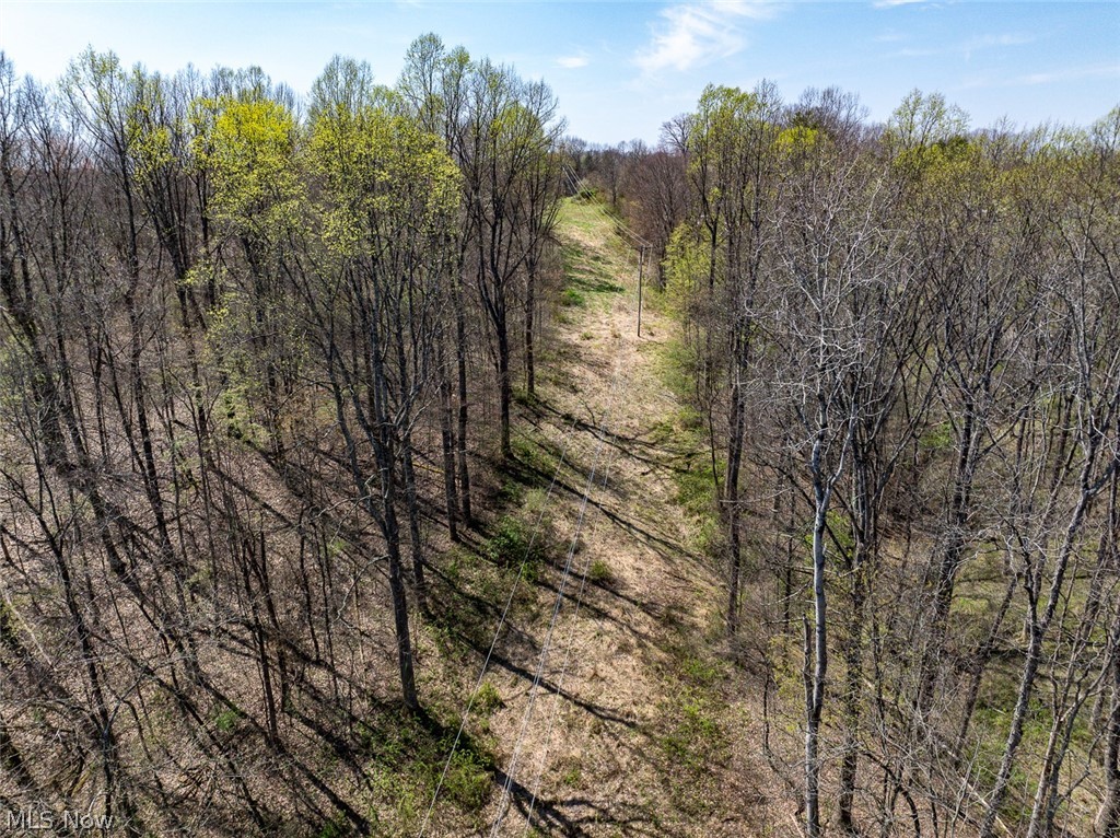 0 Twp Road 318 Road Dexter City OH 45727