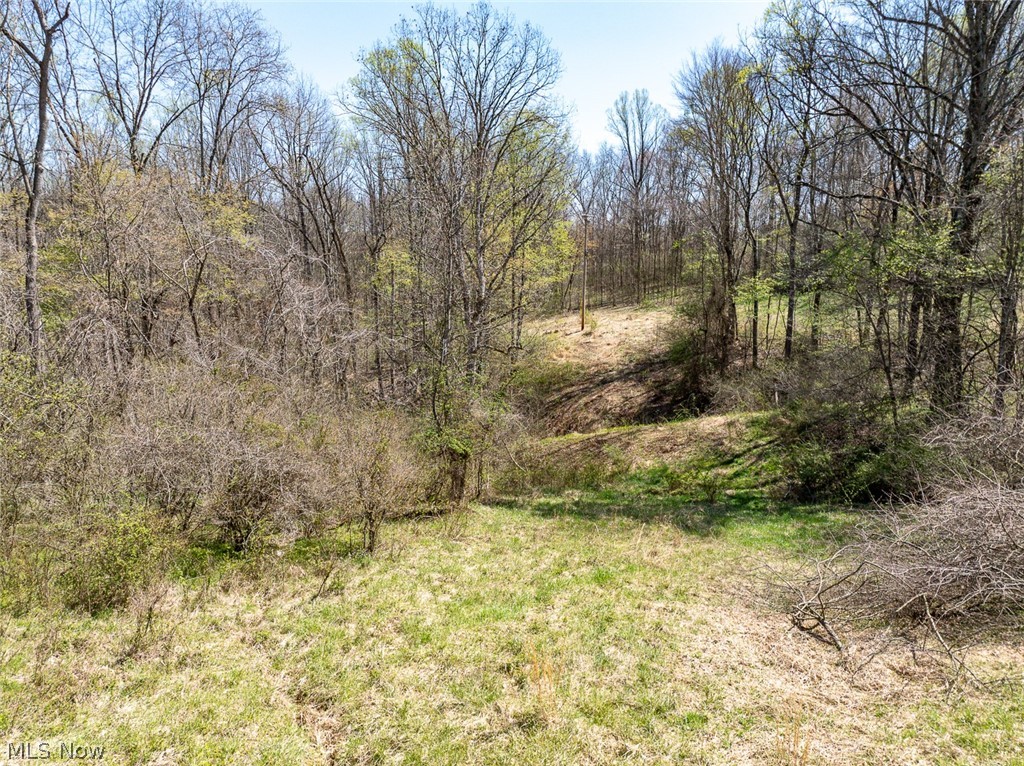 0 Twp Road 318 Road Dexter City OH 45727