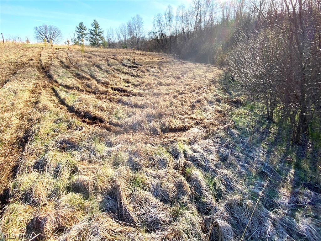 0 Twp Road 318 Road Dexter City OH 45727