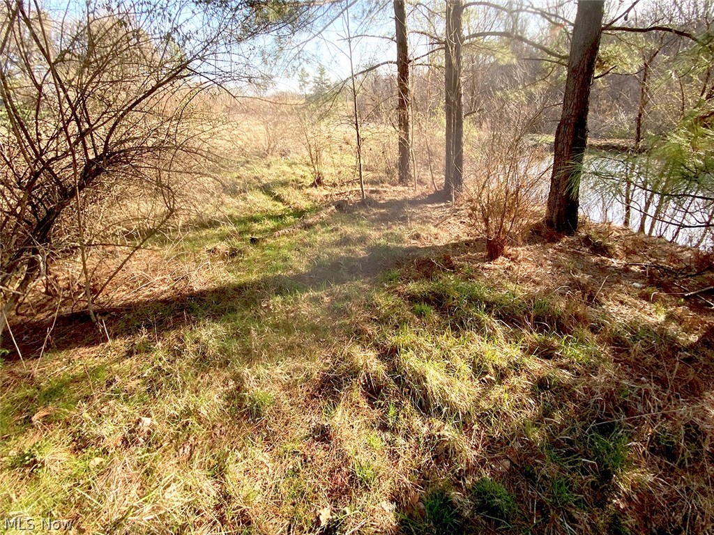 0 Twp Road 318 Road Dexter City OH 45727