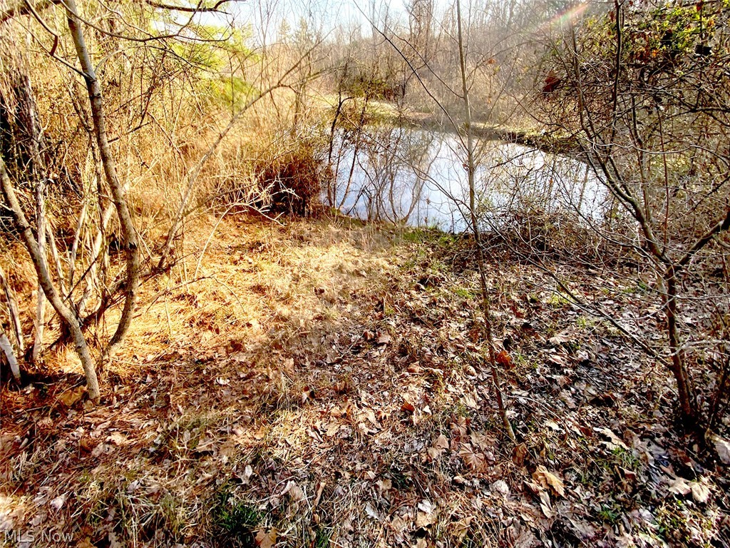 0 Twp Road 318 Road Dexter City OH 45727