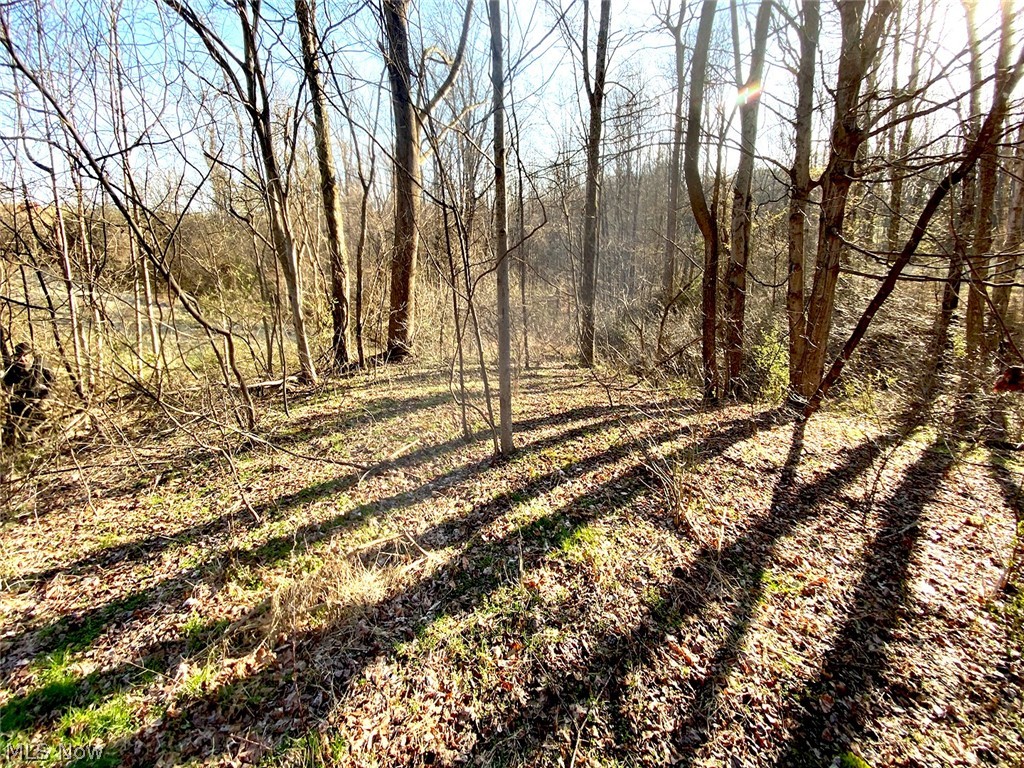0 Twp Road 318 Road Dexter City OH 45727