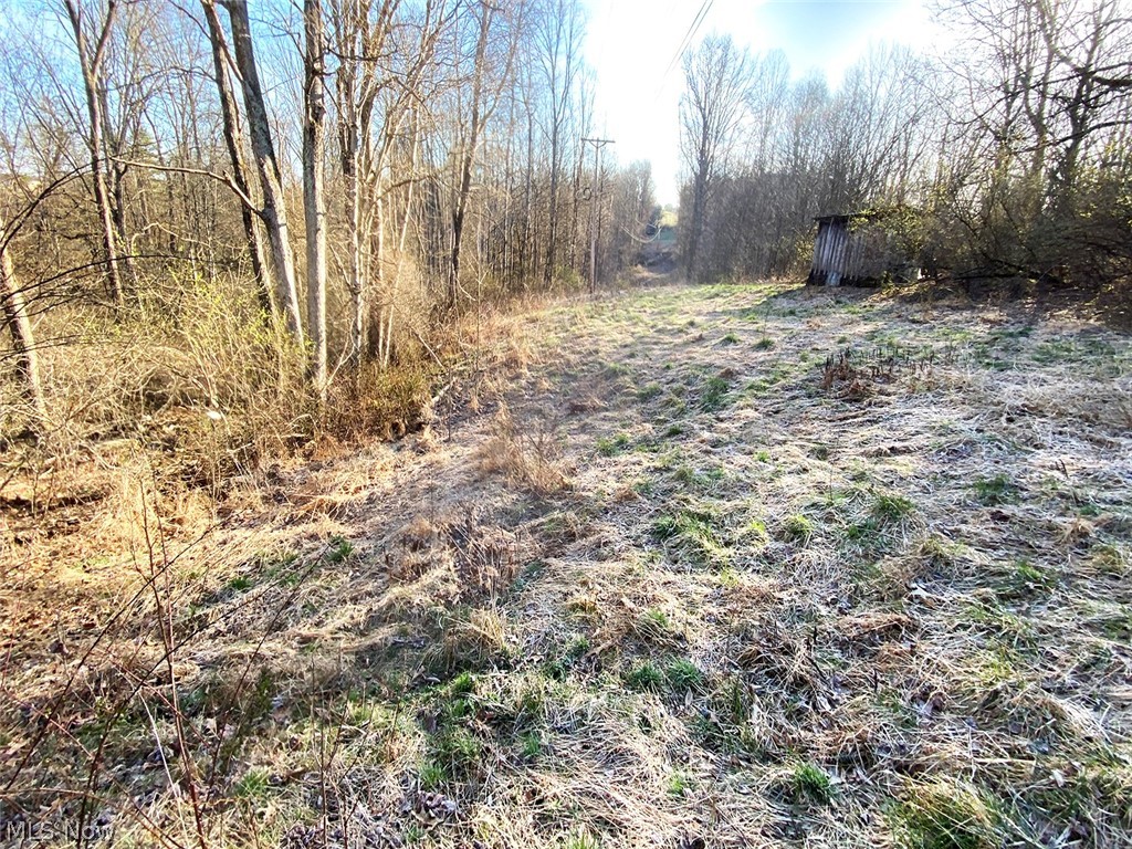 0 Twp Road 318 Road Dexter City OH 45727