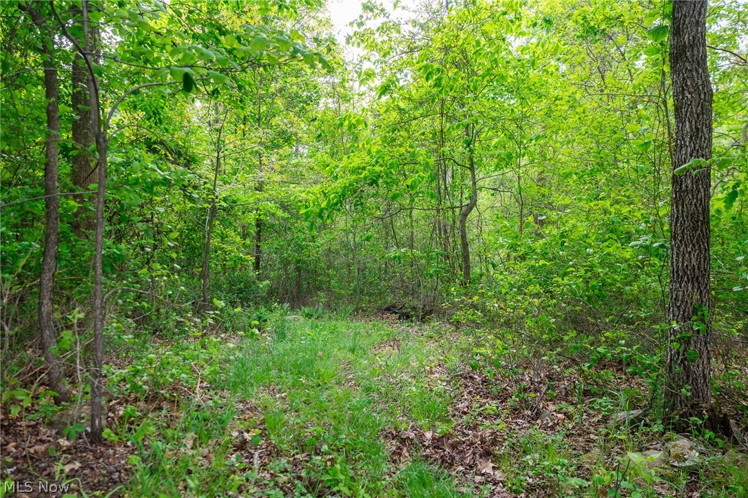 70870 Norwalk Road Kimbolton OH 43749