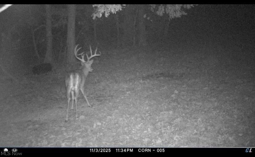 70870 Norwalk Road Kimbolton OH 43749