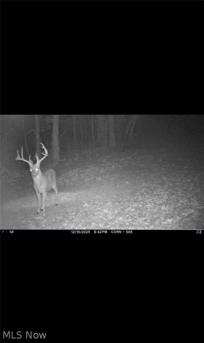 70870 Norwalk Road Kimbolton OH 43749
