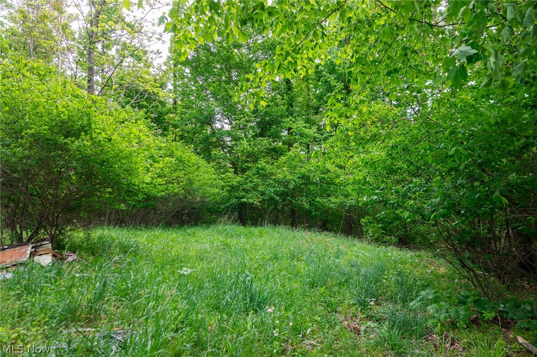 70870 Norwalk Road Kimbolton OH 43749