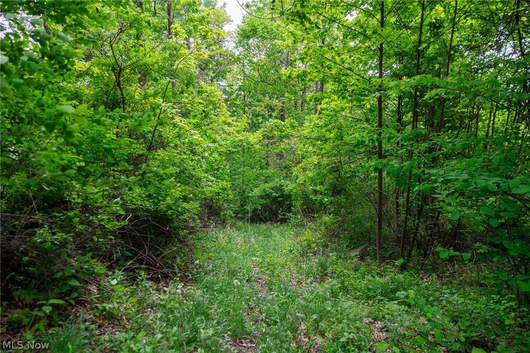 70870 Norwalk Road Kimbolton OH 43749