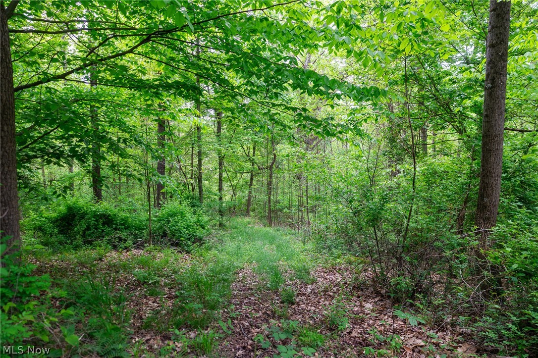 70870 Norwalk Road Kimbolton OH 43749