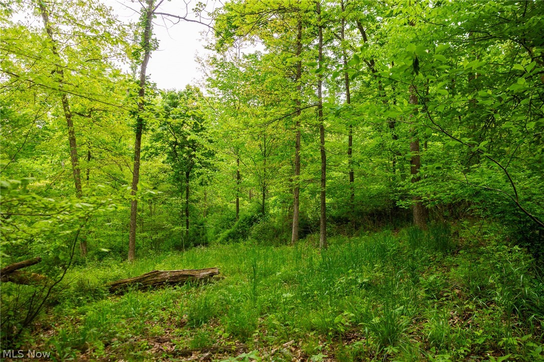 70870 Norwalk Road Kimbolton OH 43749